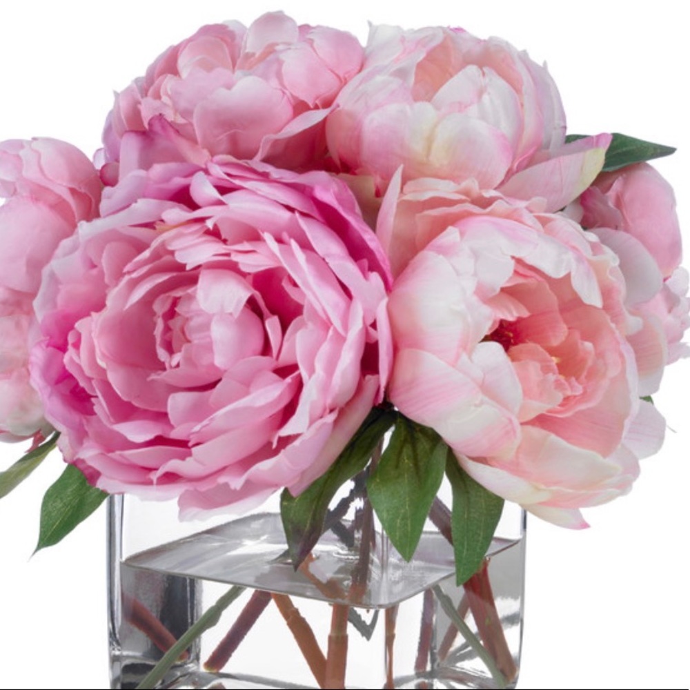 Meet your Posher, Salena